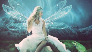 妖精は実在している！？その種類と出会い方も紹介