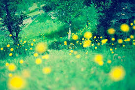 過去世からの記憶とスピリチュアルメッセージについて