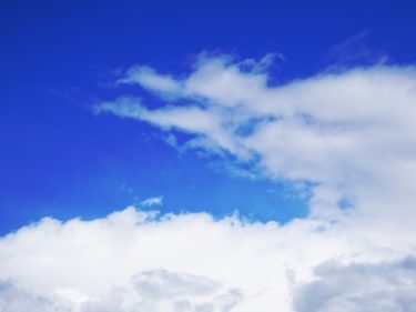 白龍の役割や力、そして白龍と遭遇したエピソードを紹介。